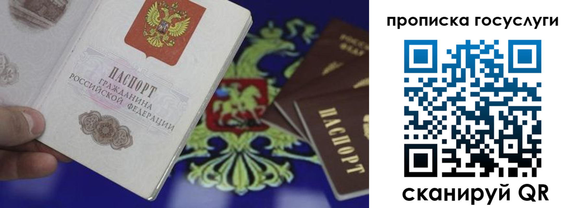 прописка для школы в Ливны